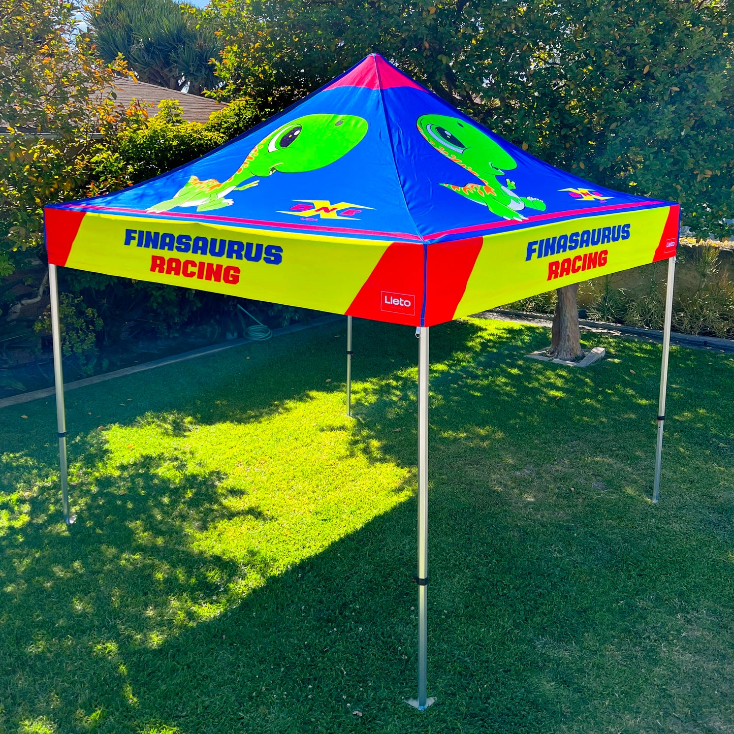 10FT x 10FT Canopy