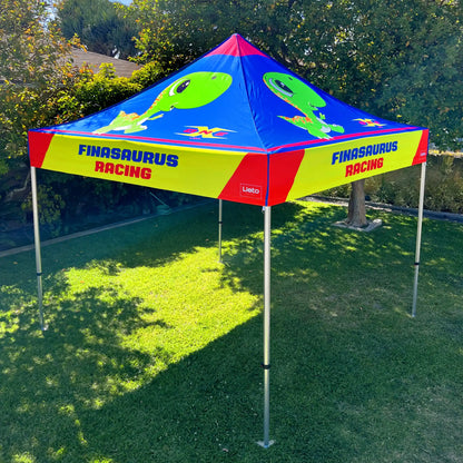 10FT x 10FT Canopy