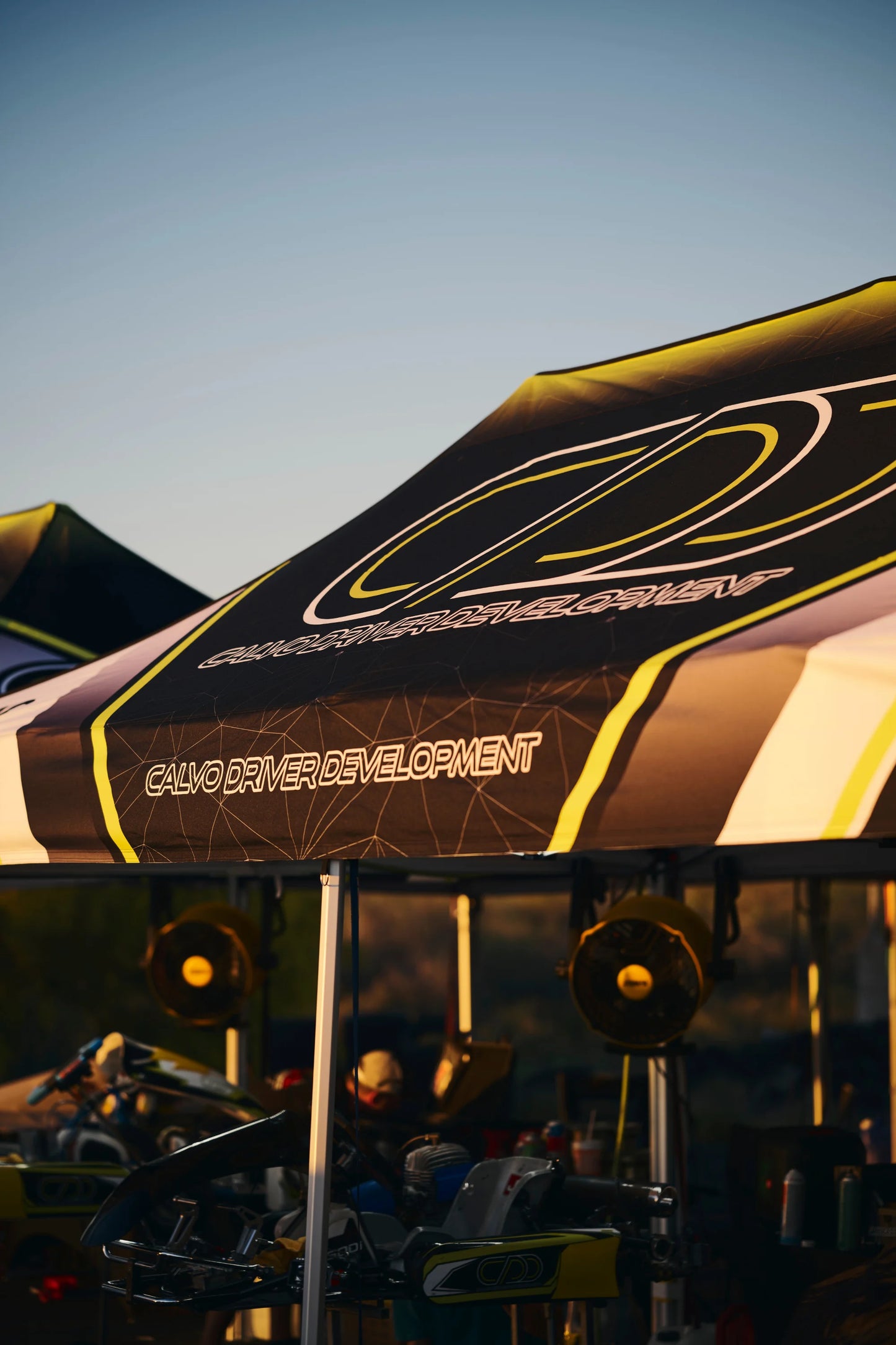 10FT x 10FT Canopy