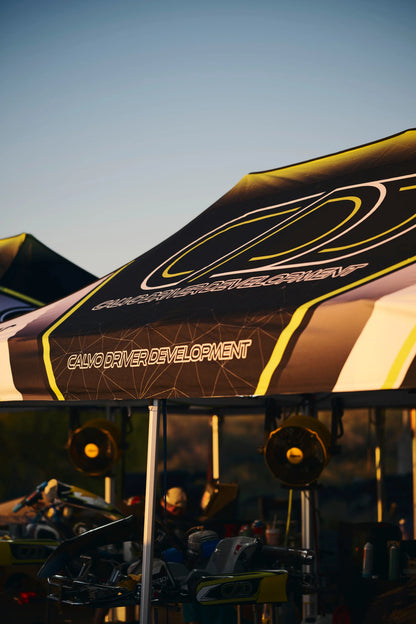 10FT x 10FT Canopy